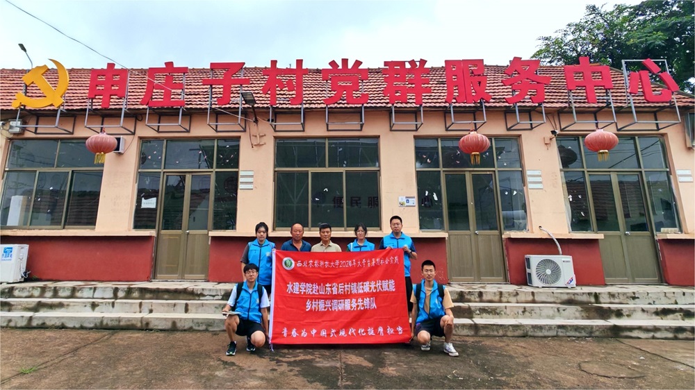 青春逐夢鄉村行，光伏照亮振興路