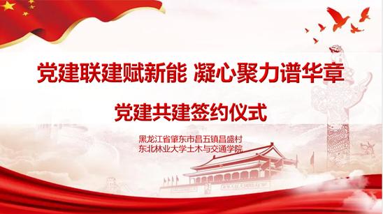 東北林業大學“肇愿‘砼’行，助農興鄉”暑期社會實踐團紀實：黨建聯建賦新能，凝心聚力譜華章