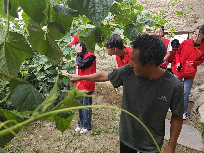 三下鄉|走進種植大棚 助力鄉村振興