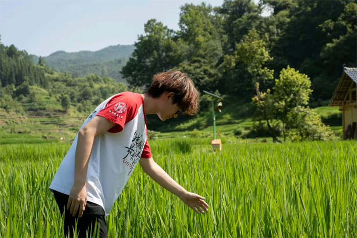 探尋占里村：傳統村落調研，解碼文化生態密碼
