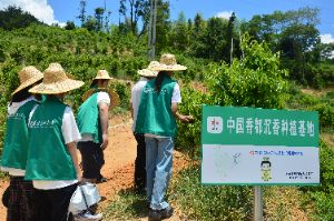 香韻傳承：產業探索與文化教育之旅