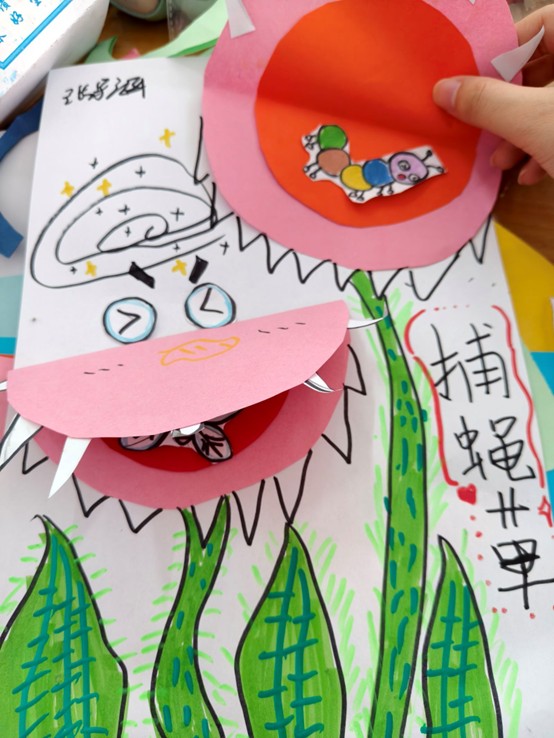 夏蔭護苗傳新綠，紙鳶載夢系長天——華中科技大學“星星鳥”支教團二隊支教日志
