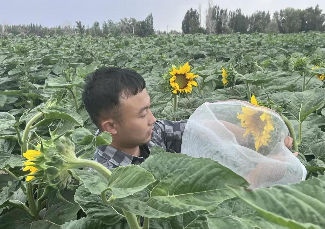 胡楊校友訪談—星光不負(fù)趕路人，時光厚愛追夢人