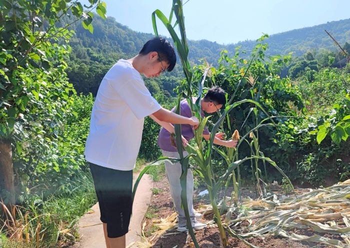 逐夢(mèng)志行云陽(yáng)間，青春服務(wù)暖基層