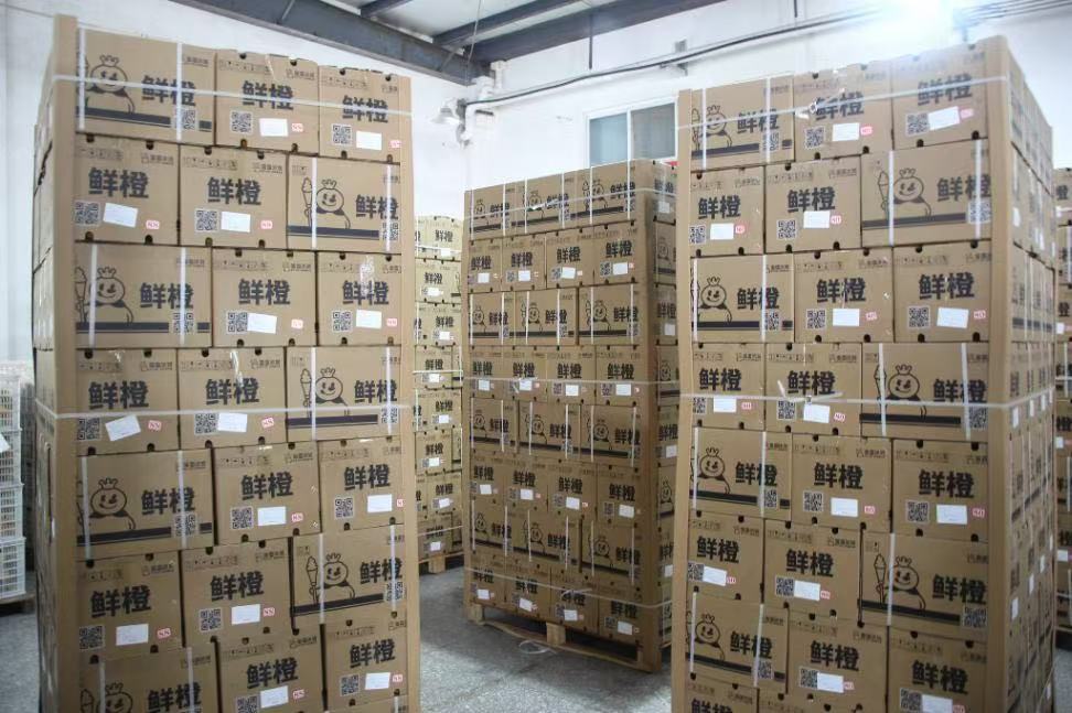 武漢東湖學院小橙故事實踐隊探秘秭歸和之源工廠：解鎖一顆柑橘的全球“出?！泵艽a