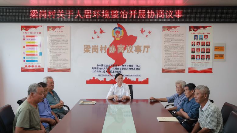 “黨建引領聚合力 青春賦能治梁崗”——合肥大學“冶父‘青’風起，梁崗‘振’當時”實踐團隊赴梁崗村開展黨建引領基層治理調研