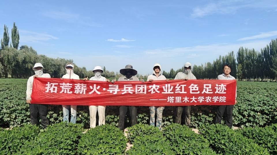 “拓荒薪火?尋兵團(tuán)紅色農(nóng)業(yè)足跡” 團(tuán)隊(duì)調(diào)研棉花花生間作模式?