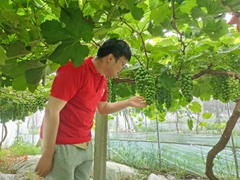 大學(xué)生暑期社會實(shí)踐參觀之旅與村委授牌儀式