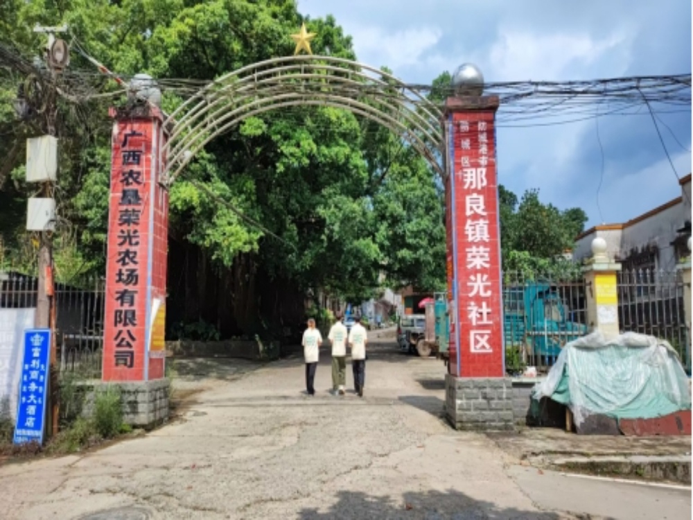 街巷間的民生課堂——桂工學子“三下鄉”活動側記