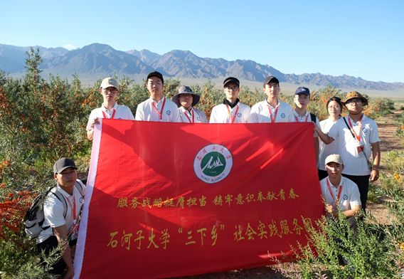 三下鄉(xiāng)科技支農(nóng)：深入摸排沙棘生長(zhǎng)，推動(dòng)收獲機(jī)再升級(jí)