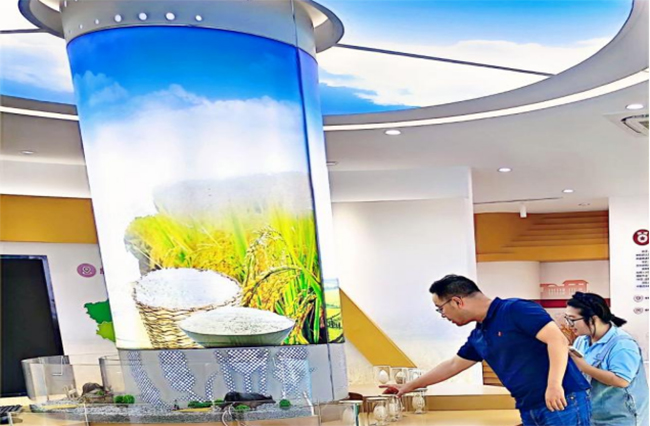 南京曉莊學院行知稻作研究團隊：深入武進水稻研究所，探尋水稻農業科技發展之路