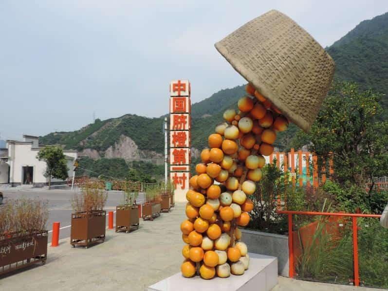 武漢東湖學(xué)院“小橙故事”實(shí)踐隊(duì)探訪秭歸臍橙第一村 解碼智慧農(nóng)業(yè)新實(shí)踐