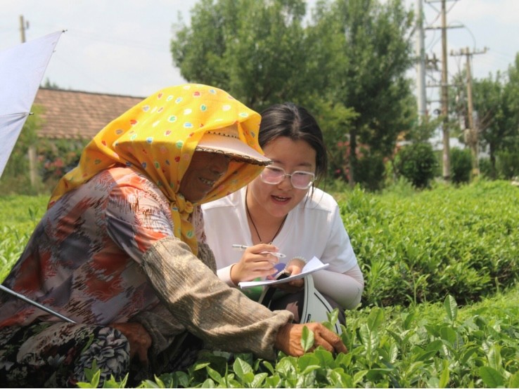 青春步履量阡陌，智匯茶鄉繪振興