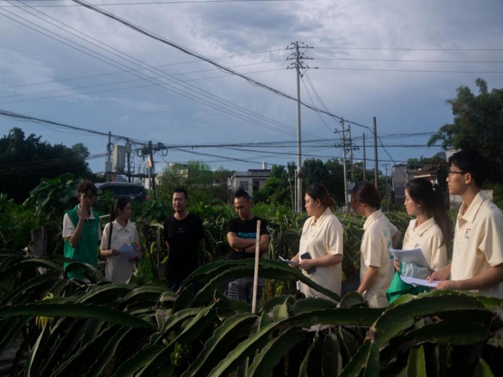 “百里飄香”映日紅，桂工學(xué)子勞動(dòng)體驗(yàn)助農(nóng)興