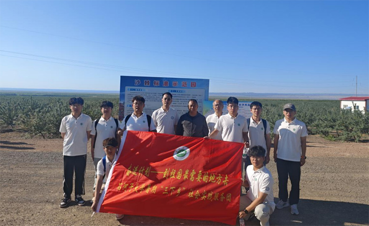沙棘林海里的青春答卷：石大學子破解戈壁采收難題