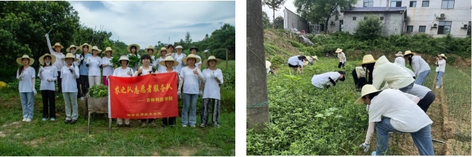 培養勞動情懷與實踐情懷，點亮美好未來
