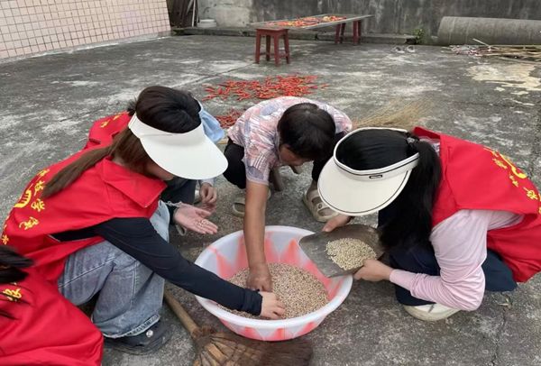三下鄉 | 農之隊服務團：港中坪村的溫暖答卷