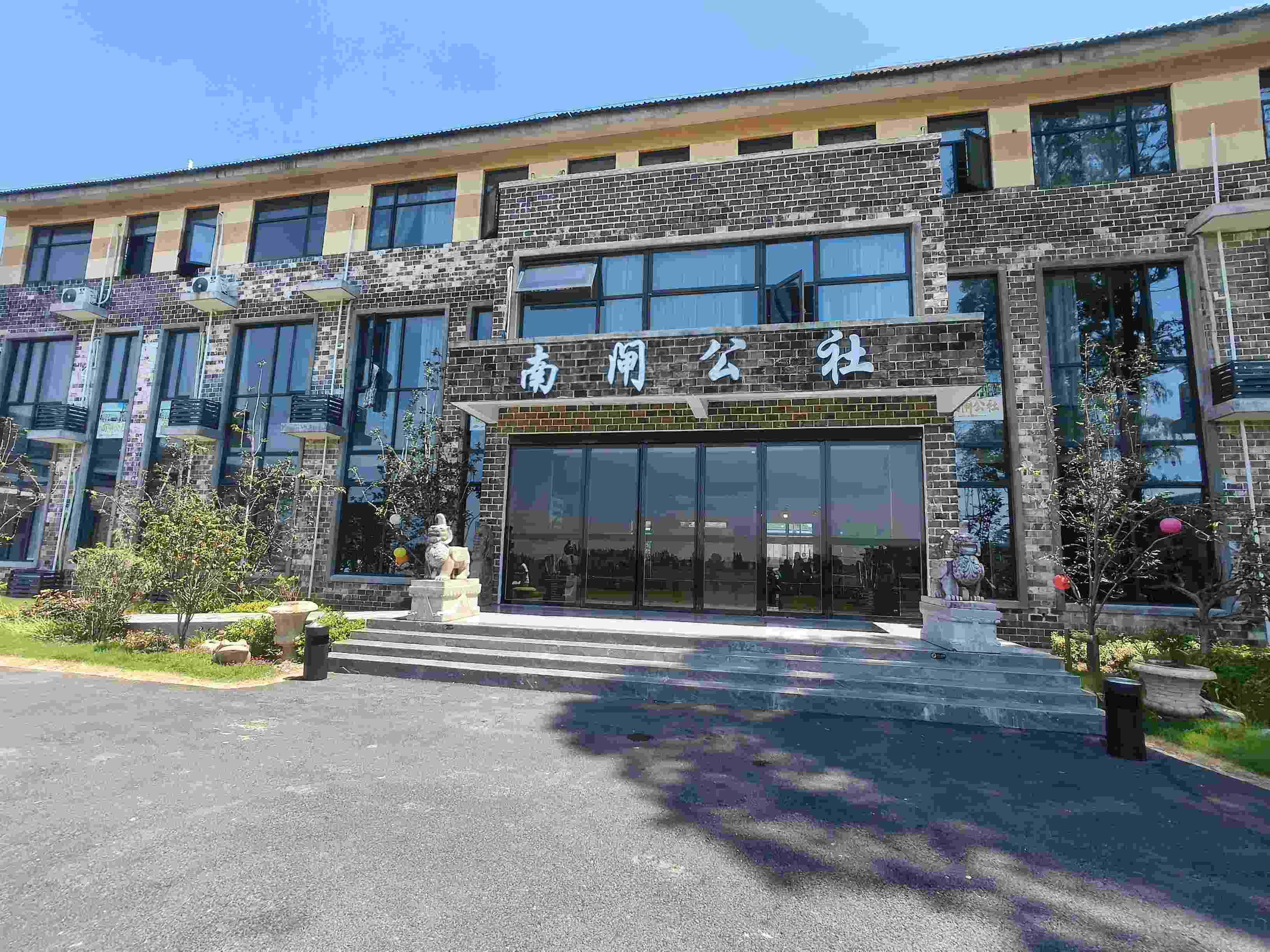探尋鄉村振興新路徑 貢獻青春智慧