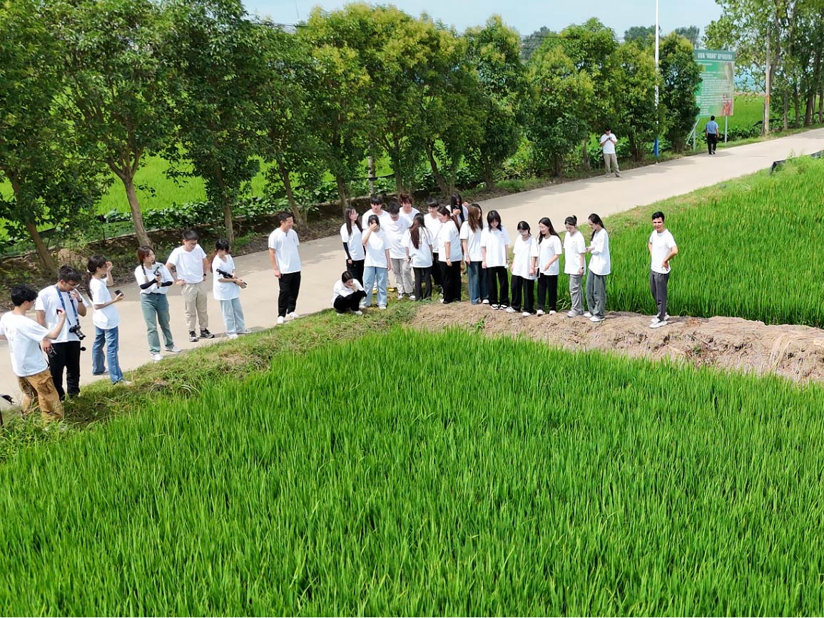 合肥大學經濟與管理學院2024年暑期“三下鄉”社會實踐專題三——厚植三農情懷，譜寫嶄新篇章
