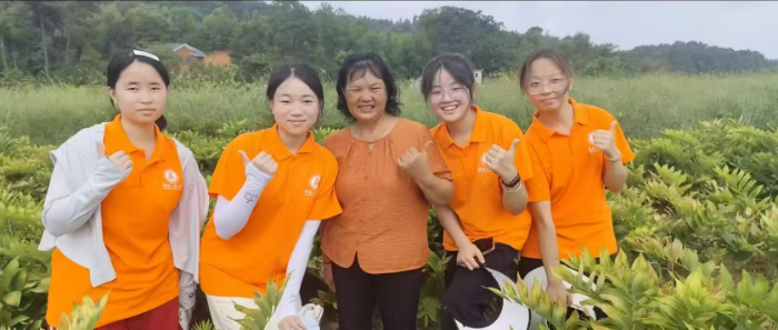 茶韻團隊探玉竹，金藪鄉野孕新篇