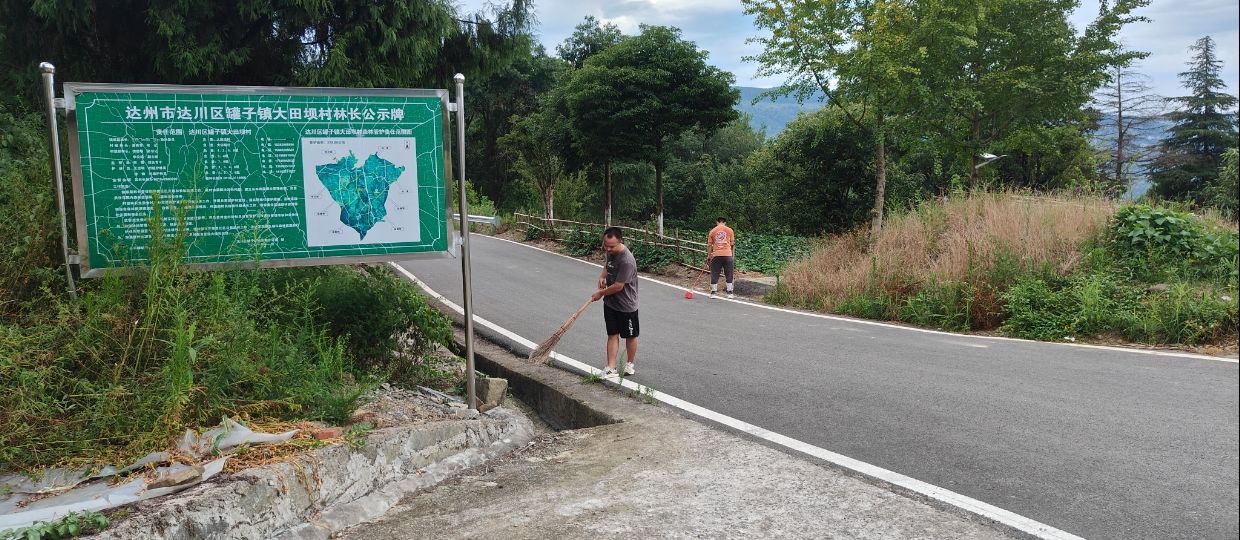 陽光暑期實踐：環保行動，青春奉獻