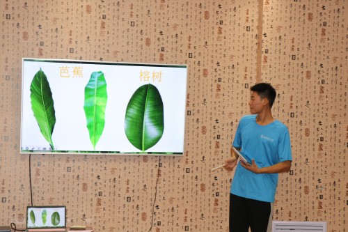 探索植物奧秘，領(lǐng)略環(huán)保魅力