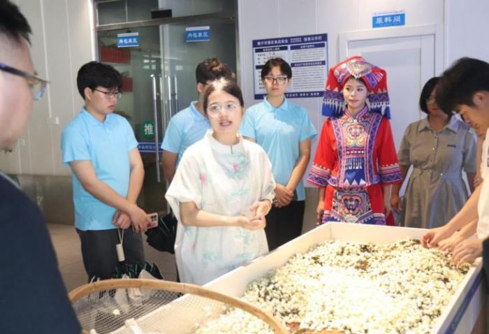 茉莉芬芳處，青春調研時：實踐團探索橫縣非遺與電商融合路