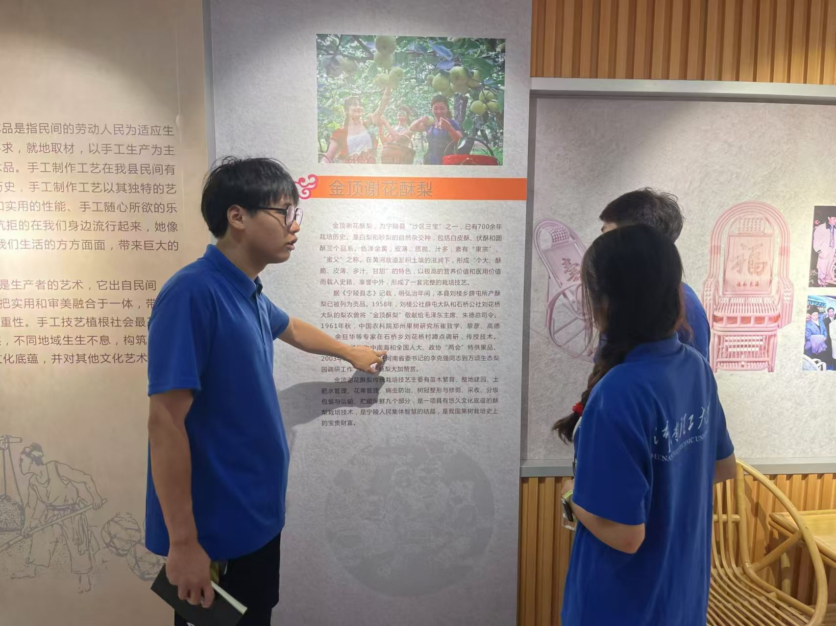電商賦能寧陵酥梨產業，探索轉型升級新路徑—河南理工大學“梨”尚往來團隊 三下鄉