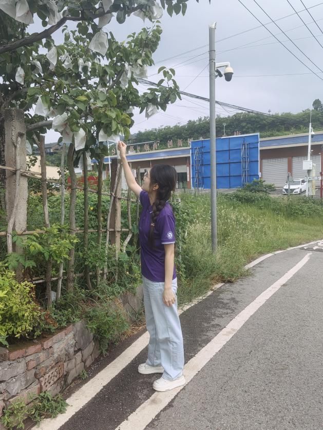 青春腳步丈量梨園，科技“鍺”力叩開振興門