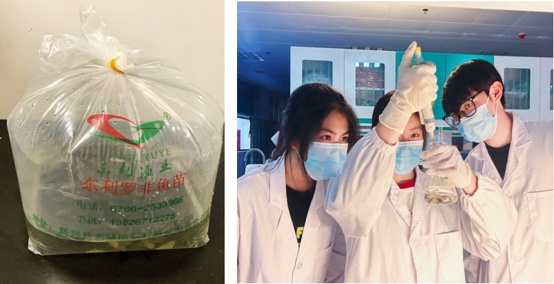 佛大學(xué)子智慧啟航 科技賦能都斛漁業(yè)
