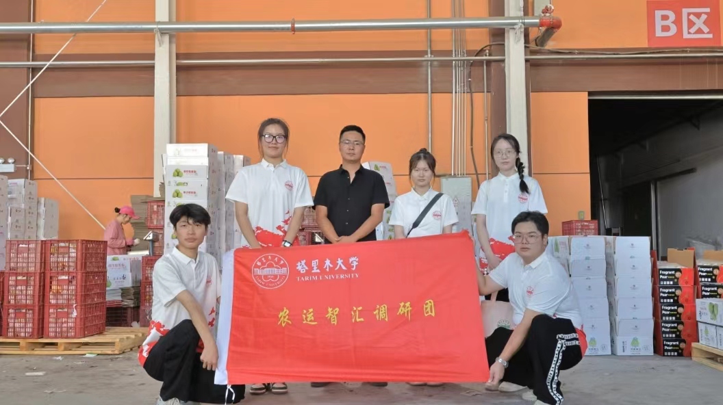 塔大學(xué)子三下鄉(xiāng)|農(nóng)運(yùn)智匯調(diào)研團(tuán)（6)