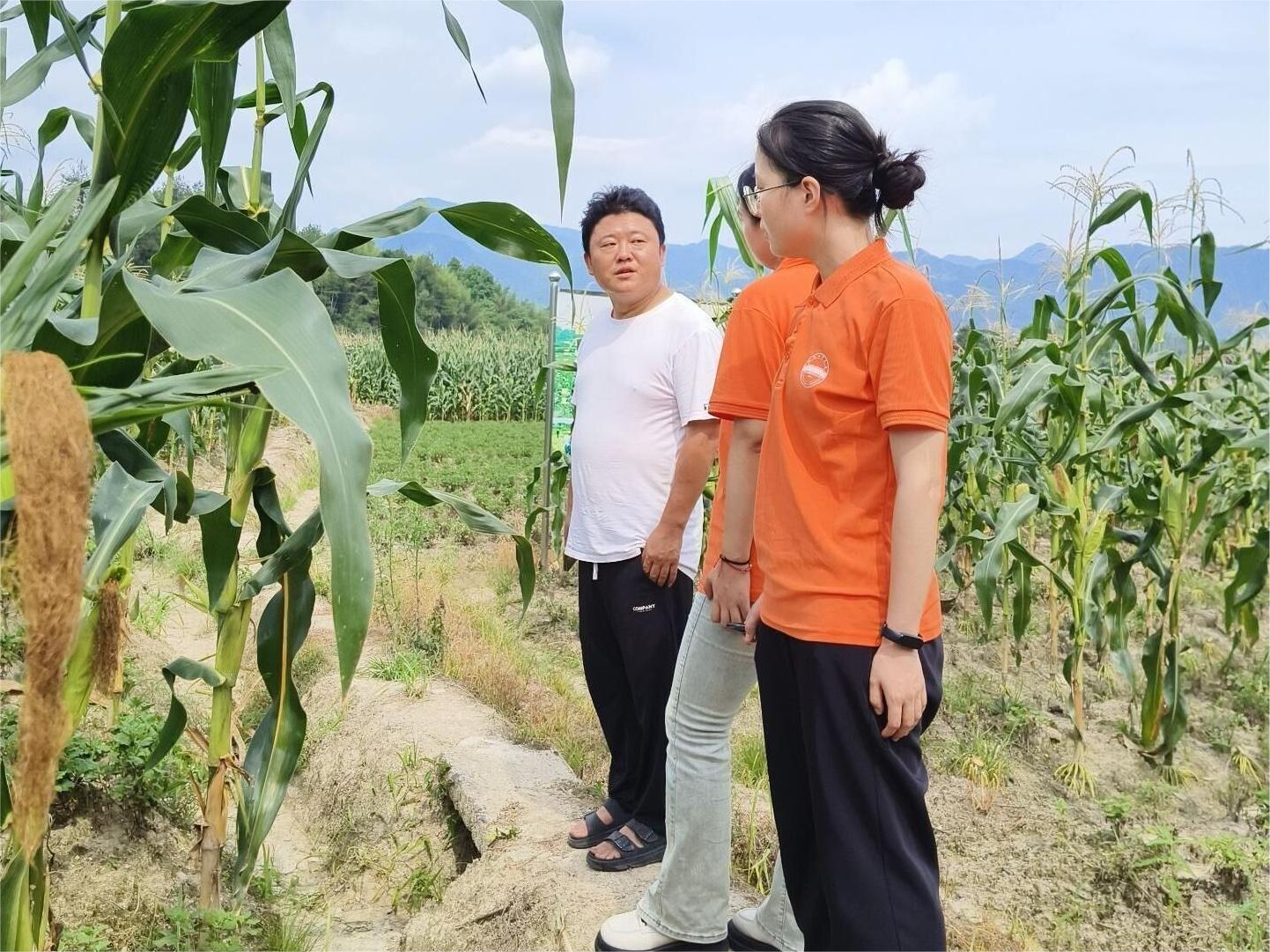 合肥工業(yè)大學(xué)學(xué)子三下鄉(xiāng)：長(zhǎng)安宜居夢(mèng)，和美鄉(xiāng)村興