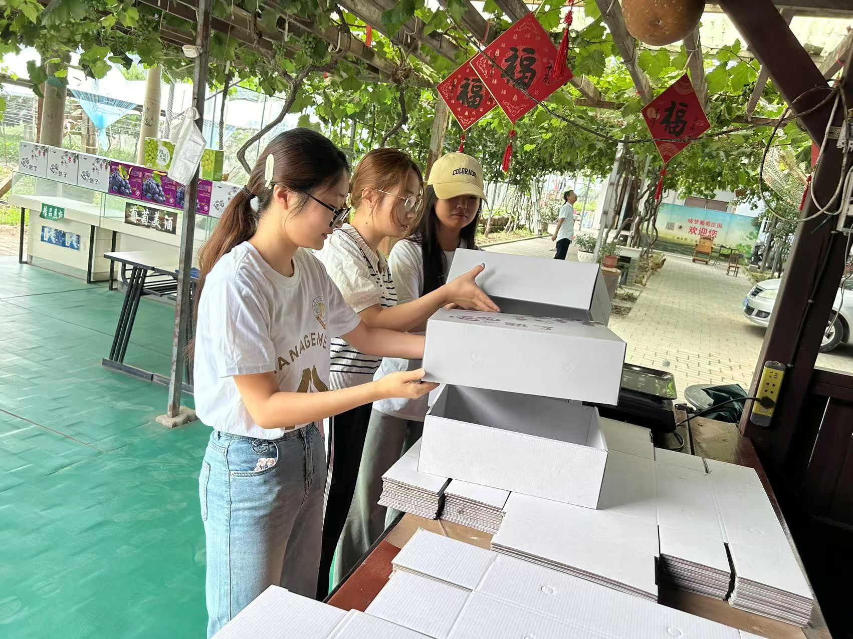 三下鄉｜西安建筑科技大學管理學院赴西安曉夢技術有限公司葡萄莊園開展暑期社會實踐活動