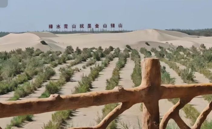青春聚力沙海織綠：生命科學與技術學院暑期三下鄉實踐團探秘麥蓋提“生態－民生”協同發展之路